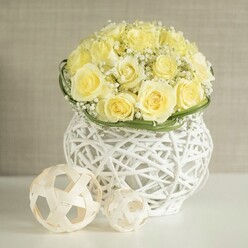 An elegant, dome-shaped bouquet of buttery cream and pale yellow roses takes centre stage on a pristine white surface, evoking the soft glow of late afternoon light over Mill Hill's leafy streets. Each rose is fully bloomed, the petals unfolding in gentle, symmetrical curves that overlap like silk ribbons, creating a plush, almost cushion-like texture. Among them, fine sprigs of white baby's breath are lightly threaded, their tiny clustered blossoms forming a delicate haze that softens the structure and adds a romantic whisper of white. At the base of the bloom-filled dome, a slender band of polished green foliage encircles the arrangement, providing a crisp, botanical edge that accentuates the flowers above and hints at the steady hand of a skilled florist. The bouquet rises from a rounded white woven vase, made from slim, interlaced strands that create an open, airy framework, similar to a modern rattan basket. These gaps in the weave let light pass through, casting soft, lace-like shadows onto the tabletop beneath and giving the arrangement an almost weightless feel. To the side, two natural-toned, woven decorative balls of different sizes lie close together, their open, geometric pattern mirroring the vase's design and tying the composition into a cohesive, contemporary display. The background recedes in a wash of warm beige, slightly textured but blurred, like the quiet walls of a Mill Hill home prepared for a small wedding breakfast or anniversary meal. The entire scene exudes calm sophistication and gentle joy, ideal for wedding reception tables, intimate celebrations near Mill Hill Park, or as a refined centerpiece for North London dinner parties.