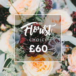 This detailed, close-in image shows a florist's-choice bouquet that marries opulence with a wild, natural ease, perfect for romantic moments or thoughtful gifts around Mill Hill. Dominating the scene is a rich burgundy dahlia, its velvety, concentric petals forming a striking, almost painterly focal point; surrounding it are garden roses in peach, cream and soft apricot whose ruffled petals open like small suns, emitting a gentle, tea-rose fragrance in the mind's eye. Interspersed are steel-blue eryngium thistles whose pointed, architectural forms introduce a cool, modern edge, while pale green and ivory hypericum berries give the arrangement a lively, tactile punctuation. Varied eucalyptus and mixed foliage - some silvery, some deep green - thread through the blooms, creating movement and an organic silhouette that feels as if gathered from a local Mill Hill allotment or market stall on The Ridgeway. Soft directional lighting sculpts the petals and highlights the contrast between plush rose blooms and the thistle's bristled texture. Centered over the flowers is a minimalist white square frame with rounded corners; inside, elegant script reads "Florist," followed by the uppercase "CHOICE" and a clear price of "£60" in bold type, offering immediate clarity for shoppers. As a local florist's sample, this bouquet communicates trusted craftsmanship and a seasonal selection - an expertly balanced choice for birthdays, courtesies, or same-day delivery across Mill Hill and nearby streets.
