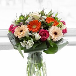 This bouquet is a contemporary creation that captures the carefree elegance felt throughout Mill Hill. Its hero flowers are vivacious orange and peach gerbera daisies, their petals glowing as though touched by the golden afternoon sun common along Inglis Way. Deep magenta roses, with tightly curled petals, lend a note of sophistication and enduring romance to the mix. The aspidistra leaves-broad and sturdy-are gracefully folded to form a verdant frame, their smooth, glossy surfaces offering dialogue with the bouquet's more delicate elements. White alstroemeria and petite blooms scatter freshness throughout, reminiscent of an early spring breeze coming off Arrandene Open Space. Hints of additional pink and white details bring a sense of anticipation, as if the flowers are poised to unfurl. Placed in a transparent glass vase, the stems are on view, further emphasizing the natural charm of local, hand-tied arrangements. This bouquet is more than a visual feast; it holds a quiet energy, perfect for celebrating new achievements, sending encouragement, or brightening a loved one's home across Mill Hill. Crafted by expert florists, it expresses the full joy of giving and receiving nature's beauty within the heart of the neighborhood.