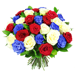 A rich, hand-crafted bouquet of roses fills the image, designed in a classic rounded style that feels both luxurious and welcoming. The colour palette is unmistakably patriotic: deep crimson reds, soft creamy whites, and striking royal blues are woven evenly throughout the dome of flowers. Each rose displays velvety petals arranged in tight spirals, some blooms still cupped and promising to open further, others already unfolded into full, generous rosettes. The interplay of partially open and fully open flowers gives the bouquet a sense of movement and life, as though it has just been placed down on a table in a Mill Hill living room, fresh from the florist. Dark green, glossy leaves peek between the rose heads, offering cool, leafy intervals that frame and enhance the brilliance of the petals. The stems are neatly cut and gathered at the base, forming a compact bundle that reveals this is a meticulously hand-tied arrangement, ready to drop straight into a favourite vase or to be carried as a gift. Against the clean, white background, every hue appears intense and defined: the reds are warm and comforting, the whites bright and serene, the blues bold and confident. The bouquet radiates a mood of dignified celebration, ideal for marking national holidays, honouring service, or bringing a touch of ceremony to family gatherings in Mill Hill, from quiet dinners off Bittacy Hill to special occasions near Mill Hill East. You can almost sense the familiar, comforting fragrance of fresh roses rising from the clustered blooms, suggesting gratitude, remembrance, and shared joy.