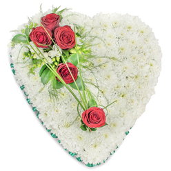 In this image, a heart-shaped sympathy arrangement rests against a simple white backdrop, its form clearly defined by hundreds of tightly clustered white chrysanthemums. Each small bloom fits snugly against the next, creating a dense, plush surface that looks like a soft cushion of petals. The creamy white tone of the flowers suggests purity and quiet calm, evoking the stillness of a peaceful chapel in Mill Hill on a winter morning. At the upper left curve, three deep red roses are grouped together, their velvety petals rich and saturated, unfolding in elegant spirals. Around them, deep green leaves, fine fern-like foliage, and a few delicate white filler flowers provide contrast, making the red appear even more intense and symbolic of enduring love. Further down, toward the right side of the heart, two more red roses are carefully placed, spaced so that the composition feels balanced but not rigid. These roses are gently linked to the main cluster by sweeping strands of bright green ornamental grass that curve diagonally across the heart, adding a sense of motion and connecting each element into a single, flowing design. The perimeter of the heart is edged with a dark green satin ribbon, neatly pleated and slightly reflective, framing the chrysanthemums like a soft, polished border. It is easy to imagine this floral heart being delivered by local Mill Hill florists for a funeral service, memorial gathering, or graveside tribute, where it would rest quietly beside a coffin or headstone, offering a graceful, wordless message of love, loss, and remembrance.