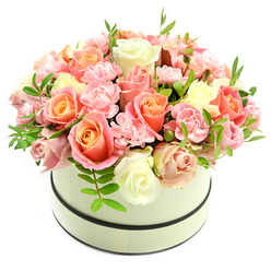 Presented in a refined circular hatbox finished in pale cream with two thin, dark bands circling rim and base, this lush floral arrangement has the intimate density of a secret garden in bloom. Against a stark white backdrop the bouquet's textures and hues become the story: large, velvety roses graduate from warm coral-peach and soft apricot centers to delicate blush and creamy ivory edges, while smaller, frilly light-pink carnations fill gaps with their intricate ruffled petals. The composition is deliberately domed and tightly arranged, so each blossom supports the next and the eye travels across layers of colour and form. Scattered sparing sprigs of bright green foliage with slim, elongated leaves lend a fresh contrast and a verdant rhythm to the softness of the petals. Gentle, natural light suggests the sense of a new morning in Mill Hill - imagine noticing this on a walk down Mill Hill Broadway or pausing near Mill Hill Park - its scent faintly powdery and comforting rather than overpowering. Crafted with local care and floral expertise, this box is suited to heartfelt occasions: anniversaries, birthdays, Valentine's gestures or as a luxurious thank-you. Flowers Mill Hill prepares arrangements with attention to seasonality and freshness, and this piece reads as both timeless and contemporary, an elegant, tactile gift meant to encourage pause, memory, and affection for someone special in the neighbourhood.
