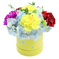 Set against a pristine white background, this compact, domed arrangement is a study in contrast and tenderness: two plump, ruffled yellow carnations dominate the centre, their lemon-tinged petals catching a soft, morning light and creating a warm focal glow. Encircling them are generous clusters of powder-blue hydrangeas whose tiny florets form a cushiony, cloud-like mass; see the faint veins and paler centers that give the blue a delicate, almost porcelain look. A rich magenta carnation leans in from the left with lively, creased petals that read like velvet, while a sumptuous burgundy-red carnation grounds the right side with deep jewel tones. Narrow stems of green filler foliage thread through the blooms, introducing crisp texture and a leaf-scent suggestion that balances the sweeter florals. The arrangement is presented in a round lemon-yellow paperboard gift box - a modern hatbox style - decorated with scattered pastel dots in soft pink, mint and sky-blue; these playful accents suggest springtime occasions and brighten the overall silhouette. Gentle studio lighting models each blossom so you can notice the carnation's ruffled edges and the hydrangea's clustered intricacy, evoking both tactile softness and lively colour. As an arrangement tailored for local deliveries across Mill Hill Broadway and Mill Hill East, it speaks of thoughtful celebration - birthdays, new arrivals, or an uplifting surprise for a friend. A viewer who cannot see the photograph would recognise a joyful, carefully balanced gift designed to give immediate cheer and a lingering memory of colour and texture.
