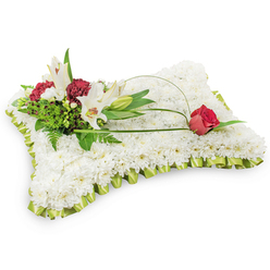 A tender, pillow-shaped sympathy wreath built from hundreds of tiny, immaculate white chrysanthemums, each bloom placed close to its neighbour so the surface appears plush and cloud-like against a stark white background. The rectangular form is finished with a delicate pleated ribbon in pale lime green that frames the piece like a soft fabric border, the satin sheen catching gentle light. Nestled on the upper left, a thoughtful cluster of accent blooms creates the focal point: two open white Oriental lilies with pale yellow stamens, an elegant closed lily bud, and clusters of dark burgundy spray carnations that bring warmth and emotional gravity to the design. Varied greenery - soft fern fronds and glossy salal leaves - provides a layered, living canvas for the flowers and helps the lilies and carnations to breathe within the composition. From this cluster, a slim arch of green bear grass or decorative wire curves across the chrysanthemum field and terminates in a solitary deep red rosebud on the right, its petals just beginning to open and offering a symbol of enduring love. Composed in soft studio light to emphasize texture and form, the tribute reads as both classic and personal. As a Mill Hill florist I design pieces like this for services at local chapels and places of worship, and Flowers Mill Hill can arrange careful same-day delivery across Mill Hill Broadway, Mill Hill East, and surrounding streets when needed.