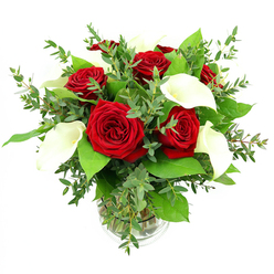 A luxurious bouquet of red roses and white calla lilies stands in a clear glass vase, photographed against a clean white background that lets the colours and shapes speak for themselves, much like a display in a boutique florist just off Mill Hill Broadway. The red roses form the core of the design, with about six or seven blooms fully open and perfectly symmetrical. Their velvety petals are layered in close, elegant spirals, petals tipping gently outward to reveal a deep, romantic crimson that darkens at the centre. Interwoven with these are four or five calla lilies, each bloom rising with sleek, sculptural grace. The calla petals are smooth and creamy white, gently curving to form a refined trumpet shape that cups a slender yellow spadix at the heart of each flower. Around this dramatic pairing, lush greenery provides contrast and softness. Silvery-green eucalyptus stems arc outward, their small, rounded leaves catching the light and lending airy movement, while broader, more solid green leaves in a vivid emerald tone gather at the base, creating a dense, supportive collar around the blooms. The cylindrical glass vase is minimalist, with clear sides that reveal the straight green stems gathered tightly together in clear water, and a subtle ribbed detail near the base that adds a hint of texture. Bright, even lighting highlights the glossy surfaces of the leaves and brings out the depth and richness of the reds and whites. The entire composition feels contemporary and romantic, an ideal arrangement for same-day delivery across Mill Hill-perhaps to celebrate an anniversary in a home near Mill Hill East station or to bring an elegant focal point to a dinner table overlooking local leafy streets.