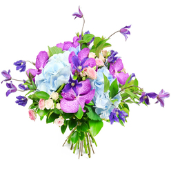 This artfully composed bouquet is shown against a clean white background, allowing every cool hue and delicate texture to stand out. Central to the arrangement are generous clusters of sky-blue hydrangea, their rounded heads packed with tiny, overlapping petals that form a plush, cloud-like surface reminiscent of soft summer skies above Mill Hill Park. Weaving through this tranquil blue base, bold orchids in shades of fuchsia and deep purple-likely Vanda or Phalaenopsis-add an exotic twist, their velvety petals mottled with speckles and fine veining that lend them a rich, jewel-toned intensity. Rising elegantly above and trailing to the sides, purple clematis blooms with starry or gently flared shapes create a sense of vertical movement and relaxed naturalness, like climbers winding up a trellis in a garden off Lawrence Street or Bittacy Hill. Scattered between these statement blooms, miniature roses in blush pink and creamy white bring a touch of classic romance, their compact buds and open rosettes inviting the eye to linger on their layered, soft-edged petals. A collar of lush foliage encircles the bouquet, mixing broad, shiny leaves with finer, more textured greenery to frame the colours and provide depth and contrast, enhancing the bouquet's fresh, just-gathered appearance. The stems are clearly visible, neatly bundled and tied, underscoring the hand-crafted nature of the design. With its harmony of blue, purple, pink, and green, the bouquet radiates an air of thoughtful celebration and calm sophistication, ideal for Mill Hill birthdays, new home gifts, or a graceful floral delivery to lift the mood of a local office or clinic.