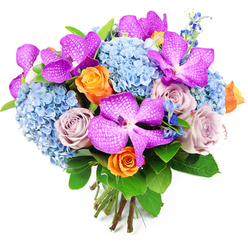 Captured against a pure white background, this abundant bouquet showcases a refined mix of textures and tones that speak of both luxury and thoughtful design. The first impression is of cool serenity from the plush sky-blue hydrangeas that form the main body of the arrangement. Their closely packed florets create rounded, cloudlike heads, giving the bouquet a full, generous outline that feels comforting and enveloping, like the soft horizon over Mill Hill's rolling residential streets. Piercing this sea of blue are several striking Vanda orchids, their petals a rich blend of magenta and deep purple, delicately overlaid with white speckling and netted patterns. These orchids bring an exotic, high-end touch, the kind you might choose for a sophisticated dinner party or a special delivery to a home off Mill Hill Broadway. Intertwined with these statement flowers are elegant roses in two main shades. Some are a radiant orange, their spiralled blooms partially open, radiating warmth and a sense of cheerful celebration. Others appear in more subdued dusty lavender and mauve hues, their velvety petals whispering of romance and quiet elegance, beautifully bridging the gap between the cool blue hydrangeas and the rich purples of the orchids. Slender stems of darker blue accent flowers, reminiscent of fine delphinium spikes, emerge here and there, adding vertical interest and pockets of intense colour. Framing it all, glossy green foliage arcs around the blooms, enhancing their vibrancy and suggesting freshness, as if recently gathered from a local Mill Hill florist. At the bottom, the clean, natural stems are gathered and bound, revealing a meticulously tied bouquet ideal for gifting, centrepieces, or marking meaningful moments in homes and venues across NW7.