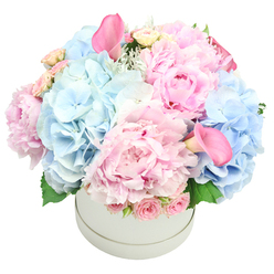 From a quiet corner of Mill Hill, this plush and airy arrangement unfolds in a spotless white hatbox, a celebration of gentleness and refinement. The pastel palette-pink and pale blue-reads like a sunrise over leafy suburbs. Dominant peonies, their many petals catching the light, anchor the composition, while pale blue hydrangeas form cloudlike cushions that soften the edges. Between them drift spray roses in pale pink, their small, furled buds adding a tactile whisper, and two tall calla lilies in rose pink rise like elegant notes in a lullaby-one near the top-left, and the other peeking from the bottom-right. A kiss of foliage-soft-green hydrangea leaves and perhaps dusty miller-frames the bloom with delicate, silvery shadows, creating depth and a cool, contemporary feel.

The entire piece is fashioned into a generous dome, so the bouquet seems to float, polished and complete, against a clean white backdrop. This arrangement speaks of quiet celebration-birthdays, anniversaries, new arrivals, or simply a gesture of care that brightens a home. Its scent is soft and inviting; the peonies give a gentle perfume, while the hydrangeas whisper fresh calm. We tailor it for delivery across Mill Hill and the surrounding streets, with dependable same-day options, and we're happy to help you choose a moment to surprise someone you love with a heartfelt bloom.
