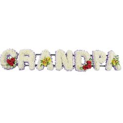 The image shows a dignified funeral flower arrangement that spells out GRANDPA in firm, upright capital letters, stretching horizontally across a bright white backdrop. Every letter is blanketed with tight clusters of white chrysanthemums, their closely packed petals forming a smooth, pillowed surface that looks soft enough to touch. A slim, lavender-purple ribbon outlines each shape, adding gentle definition while lending the piece a quiet, contemplative tone that suits a farewell in Mill Hill's peaceful surroundings. Thoughtfully positioned accent flowers add depth and emotion. In the curve of the initial G, a small group of three or four deep red roses is nestled among rich green foliage, providing a striking, heartfelt focus at the start of the word. The third letter, A, carries yellow-green orchids with subtle reddish markings, their elegant, arching petals contrasting beautifully against the snowy white background. The rounded D repeats the motif of the G with another pocket of velvety red roses, while the final A echoes the earlier orchids, giving the tribute a gentle visual rhythm from left to right. Slim support bars run unobtrusively behind the letters, making sure the entire word remains straight and stable when placed beside a coffin in a Mill Hill church, at a service by Mill Hill Broadway, or in a quiet chapel close to green spaces like Mill Hill Park. The arrangement feels calm, loving, and very personal, as though created by a local florist who understands the community's traditions-white blossoms for purity and remembrance, roses for deep affection, and orchids for honouring the special place a grandfather holds in the family.
