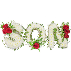 This memorial composition spells SON in three considered letterforms, each formed from hundreds of small, immaculate white spray chrysanthemums packed together to achieve a cushion-soft profile that evokes dignity and quiet comfort. The tiny white blooms lend a whisper of fragrance that feels like early morning air, while their close-set arrangement creates rounded planes of serene brightness. Scattered through the white are focal accents of deep red roses whose velvet petals read as a tender, heart-felt punctuation. The S bears a trio of scarlet roses tucked into its upper left curve, surrounded by glossy green foliage that provides a dark, living frame. The O is centred by a solitary red rose at its base, cushioned by delicate fern fronds and softer greens that draw the eye inward. The N is finished with another vertical cluster of three roses along its right edge, creating visual cadence and a sense of clasping affection.

Graceful ivy strands are woven through the letters, their trailing stems and pointed leaves adding texture, movement, and the idea of memory taking root. The whole tribute rests on a stark white background and is photographed in soft daylight so the white chrysanthemums remain luminous and the red roses keep their depth. As a florist familiar with Mill Hill's families, I design pieces like this for funeral services, graveside tributes, and wakes - a personalised floral language to express profound love and condolence when words feel small.
