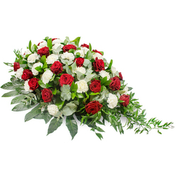 Against a plain white backdrop, this red and white funeral spray appears serene and composed, capturing the gentle solemnity of a final tribute. The design is horizontal and asymmetrical, fuller and rounded on the left before narrowing into a soft, tapering point on the right, creating a sense of movement that feels like a slow, dignified procession. Deep red roses, with tightly swirled, velvety petals, are scattered throughout the arrangement, their rich colour symbolising enduring love and heartfelt loss. Interwoven among them are clusters of white carnations, their ruffled texture adding a soft, comforting counterpoint to the intensity of the roses, much like a quiet voice offering reassurance during a service in one of Mill Hill's chapels. The blooms are supported by a bed of lush foliage: broad, dark green leaves form the main structure, providing depth and a polished finish, while silvery-green eucalyptus leaves thread through the design, their muted tone lending a gentle, airy quality. On the right, slender stems of lighter greenery cascade and trail beyond the main body of the spray, giving the piece an organic, flowing edge. The overall colour harmony of crimson, white, and varied greens feels both classic and respectful, ideal for a casket spray or memorial arrangement chosen for a funeral in the Mill Hill area. Crafted to rest flat, the spray looks as though it has been placed with care at the front of a service, allowing the flowers to speak on behalf of those who mourn. It is a floral tribute that quietly honours a life, offering a sense of peace and solemn beauty to those gathered in remembrance.