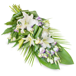 This tranquil funeral and sympathy spray rests diagonally across a stark white background, its elongated shape suggesting a soft, flowing farewell. At the top left, the stems are gathered into a lush, rounded cluster from which the design gradually narrows toward a delicate point at the lower right, similar to a teardrop laid gently on its side. At the heart of the composition, several white oriental lilies open in varying stages of bloom. Some reveal their full span of smooth, creamy petals and central stamens dusted with pale yellow pollen, while others remain in elegant buds, hinting at remembrance still unfolding. Between the lilies, generous swirls of lisianthus appear, their white, bell-shaped petals washed with subtle lavender and purple edging, like the soft hues over the rooftops of Mill Hill Broadway at dusk. Many lisianthus buds remain tightly closed, adding structure and an understated rhythm throughout the display. The flowers are supported by a rich framework of deep green foliage: broad, glossy leaves create a dark, calm base, and slender, spiky fronds stretch outward, particularly along the right side, giving the piece movement and a natural, sweeping line. Some of the leaves are expertly folded and rolled into modern, sculptural forms, a small detail that showcases the artistry and sensitivity of Flowers Mill Hill. The white blooms and verdant greens create a refined, peaceful palette, perfectly suited to rest atop a casket, stand beside a chapel lectern, or be delivered to a family home in Mill Hill as a message of love, respect, and enduring peace in times of loss. It feels both classic and contemporary, reflecting the gentle, residential charm of the area.