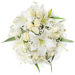 Seen from above on a spotless white field, this round bouquet reads as an exercise in refined restraint, dominated by luminous white lilies and creamy roses that bloom outward from a compact, symmetrical centre. The lilies are unmistakable with their wide, trumpet-shaped petals and lightly green-tinted stamens that serve as subtle focal points, while clusters of ivory roses remain mostly in bud or only half-open, their velvety layers producing a soft, tactile depth when viewed from this aerial perspective. Interwoven throughout are delicate sprays of Baby's Breath (Gypsophila), the tiny, cloud-like blossoms creating an almost snowfall effect that softens edges and fills every negative space with delicate texture. Small, fresh green leaves emerge around the perimeter, giving the bouquet a clean outline and a pop of vitality against the monochrome flowers. The carefully balanced composition and neutral palette convey feelings of purity, solemn celebration, and hopeful new beginnings - qualities often chosen for weddings at Mill Hill Broadway or for intimate gatherings in the Ridgeway area. The studio light catches the subtle cream nuances of the roses and the satin sheen of the lilies, and one can almost imagine their combined fragrance - sweet, heady rose notes warmed by the soft, spicy scent of lilies. Prepared with the calm expertise you expect from Flowers Mill Hill, this bouquet is equally at home as a bridal posy, a refined centrepiece, or a thoughtful gift to mark a meaningful life event in the local community.