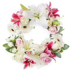 Against a clean white studio background, this circular sympathy wreath appears lush and meticulously balanced, offering a gentle blend of white, soft pink, and deep magenta flowers. At its heart are large white lilies, fully open and serene, with broad, silky petals that curl slightly at the tips and frame their green pistils and warm golden stamens. They radiate a quiet sense of peace, befitting a thoughtful tribute in Mill Hill's calm, residential setting. Interwoven with them are dramatic fuchsia and deep pink lilies, their star-shaped faces speckled towards the centre, bringing a richer, more intense colour that speaks of cherished memories and enduring love. Scattered throughout are white Gerbera daisies with dark, contrasting centres, their tidy, layered petals catching the light and adding a gentle brightness to the wreath. Soft pink roses, both in tight buds and in partial bloom, lend a tender, intimate feeling, while creamy white roses add fullness and classical elegance, helping tie the colour palette together. Small white filler flowers-resembling miniature carnations or clusters of spray blossoms-fill in the spaces, creating a plush, unbroken ring of petals. A surrounding collar of rich green foliage, with varied leaf shapes and a few emerging shoots, adds depth, structure, and a natural freshness that calls to mind the tree-lined paths near Mill Hill Broadway. The result is an open circular wreath that feels both traditional and slightly modern in its colour contrasts, suitable for funerals, cremations, and memorial services, conveying compassion, respect, and a beautifully composed farewell.