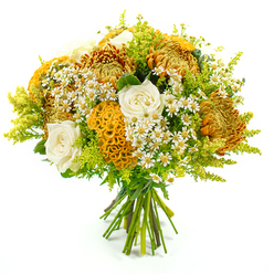 Photographed upright against a clean white backdrop, this lush bouquet looks as if it has been gathered from an abundant autumn garden, then expertly refined in a Mill Hill flower studio. At its core, full, spiky chrysanthemums in glowing gold, rusted orange, and deep pumpkin tones unfurl layers of fine petals, creating a sense of depth and movement, like foliage turning along Bittacy Hill under low afternoon sun. Nestled lovingly among them, creamy white roses offer a calm, classic counterpoint, their gently cupped petals forming perfect spirals that soften the bolder chrysanthemums. Sculptural celosia in vivid yellow-orange punctuates the design, its velvety, brain-like folds curling and undulating like small pieces of coral, adding an intriguing, tactile richness that immediately draws the eye. Here and there, sprays of tiny white daisy-style blooms with bright yellow centres spill between the larger flowers, evoking an informal, meadow-like charm that keeps the arrangement feeling relaxed and approachable. Fine stems of lime-green solidago and other lush foliage weave through the bouquet, adding brightness, height, and a fresh, leafy frame that enhances the warm tones without overwhelming them. The stems are carefully aligned and firmly wrapped in green florist's tape at the base, evidence of professional, hand-tied construction suitable for delivery across Mill Hill, from homes near Mill Hill Broadway to quiet streets around Angel Pond. Clear, even lighting reveals the interplay of textures and colours-the shimmer of chrysanthemum petals, the velvety celosia ridges, the glossy green leaves-so that the bouquet appears almost touchable. The mood is one of gentle celebration and comfort, ideal for birthday surprises, seasonal thank-you gifts, or simply bringing a warm glow into a loved one's home.