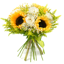 Set against a crisp white backdrop, this cheerful hand-tied bouquet looks like a burst of sunshine ready to be carried along Mill Hill Broadway. At its centre, several large sunflowers reach outward, their dark, seed-filled cores deeply textured and ringed with vibrant golden-yellow petals that instantly draw the eye. Around them, creamy white roses provide an elegant counterbalance; their velvety petals curl in tight, sophisticated spirals, some blooms more open than others, creating a gentle rhythm of shape and movement through the arrangement. Interwoven among the larger flowers are small, white daisy-like blossoms with bright yellow centres, reminiscent of chamomile or feverfew, lending the bouquet a whimsical, meadow-inspired charm, as if picked from a country lane near Mill Hill's green spaces. Fine sprays of chartreuse-green foliage and delicate buds, similar to solidago, fill the spaces in between, offering a feathery, cloud-like backdrop that enhances the yellows and whites without overwhelming them. The greenery gives the bouquet a sense of lightness and air, yet the overall form remains satisfyingly full and rounded. All the stems are neatly gathered and trimmed at the base, where they are tied together with a lime-green ribbon in a simple, tasteful wrap that adds a subtle finishing touch while echoing the freshness of the foliage. The bouquet exudes warmth, joy, and natural ease, making it a beautiful choice for welcoming someone to a new home in Mill Hill, marking a sunny summer birthday, or delivering a heartfelt gesture of congratulations or thanks anywhere across the local NW7 community.