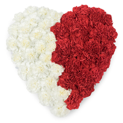 A meticulously arranged heart of carnations, seen from above, where craftsmanship and emotion meet in a single motif. The left hemisphere is filled with creamy-white carnations whose frilled petals overlap like soft waves, yielding a muted, comforting texture; the right hemisphere is densely populated with rich red carnations, their saturated tones and layered folds producing a warm, almost tactile intensity. Between them runs a hand-shaped, slightly undulating vertical line that forms a jagged boundary - a serrated seam of triangular notches that punctuates the otherwise gentle outline and lends the silhouette a distinct, flag-like resonance. The studio lighting is soft and even, setting off the subtle shadows between petals and revealing the fine ribbing and curled edges of each carnation. The arrangement communicates layered meanings: sympathy and solace, passionate remembrance, or civic pride at a cultural observance. As a florist who knows Mill Hill - from The Ridgeway to Bittacy Hill Road - I imagine this piece used at a local ceremony or placed on a church table, its scent faintly sweet and green when carried in cool air. Prepared with the same attention to detail we apply in the workshop, this heart reads as both an intimate embrace and a public emblem, a single object that can console, honour, or celebrate a shared identity. For residents looking for local floral tributes, Flowers Mill Hill can replicate this thoughtful design for delivery around Mill Hill and nearby streets.