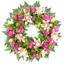 Resting visually against a clean, bright white background, this circular wreath appears as a complete halo of pink blossoms and deep greenery, the kind of tribute often seen at thoughtful memorials around Mill Hill and the surrounding lanes. The ring is heavily flowered, so the eye travels around a seamless band of colour and texture with no empty gaps. Bold magenta and rich fuchsia roses immediately catch the imagination, their petals overlapping in tight spirals on some blooms and relaxed, open layers on others. Softer blush and light pink roses mingle among them, adding gentler notes of colour, like whispered stories among stronger memories. Between the roses, double lilies unfold with quiet drama: their broad, almost ruffled petals are shaded in creamy white, soft blush, and hints of peach, some curving back to reveal detailed centres. Upright green buds are interspersed, promising further blooms and subtly suggesting continuity. Supporting the flowers is a substantial collar of foliage. Fine, feathery fern fronds trace the outer circumference, softening the silhouette, while darker, glossy leaves nestle beneath, building volume and framing each blossom. The contrast between the deep greens and warm pinks is pronounced but harmonious, heightened by the stark white background that eliminates any distraction. The overall mood is one of reverent calm-a wreath that could rest beside a coffin in a chapel near Mill Hill East station or be placed at a graveside overlooking the gentle slopes towards Totteridge. Crafted with the care of an experienced local florist, it speaks of love that endures beyond parting, offering comfort through colour, form, and natural beauty.