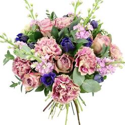 This photograph shows a richly detailed hand-tied bouquet set against a clean, white background, allowing each flower to stand out with clarity. At the heart of the arrangement are large, velvety garden roses in muted blush, dusty pink, and soft mauve, their layered petals unfurling with classic, romantic elegance. Around them cluster ruffled carnations whose petals shift from creamy pale centres to deeper pink and plum edges, adding both fullness and a soft, tactile texture. Deep indigo-blue flowers, shaped like refined tulip buds, are tucked among the roses and carnations, providing a striking contrast to the pastel tones. Near the front, a single royal blue anemone with a dark, almost black centre becomes an instant focal point, intensifying the overall colour story. Rising through the bouquet are stems of lilac and pale lavender stock, their numerous tiny flowers creating vertical lines and a sense of gentle upward movement, as if echoing the rolling rise of Mill Hill's landscape. The flowers are supported by lush greenery, including glossy dark green rose leaves and smooth, rounded eucalyptus leaves in silvery green, suggesting coolness and a subtle, aromatic freshness. At the base, the gathered stems are clearly visible, tied securely in a spiral hand-tied style, ready to slip straight into a vase on a Mill Hill Broadway kitchen table or a sitting room near Mill Hill East. The interplay of pinks, purples, blues, and greens creates an impression of calm celebration, making this design appropriate for birthdays, anniversaries, new homes, or as a comforting, elegant floral gift delivered locally across Mill Hill.