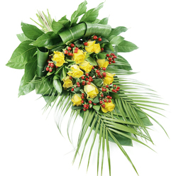 An elongated yellow rose spray lies diagonally across a pure white background, its form suggesting a gentle teardrop or a flowing leaf. The focal point of this funeral arrangement is a collection of around fifteen to twenty yellow roses, each one carefully placed to create a sense of movement and depth. Some of the roses are in bud, their petals closed and slightly pointed, while others are fully open, revealing generous swirls of soft, velvety petals in a bright, cheerful yellow. This variation lends the spray a natural, lifelike character, evoking both the beginning and the fullness of life. Between the roses, glossy red Hypericum berries cluster on slender stems. Their round, bead-like forms add a distinct texture and a strong pop of colour that contrasts vividly with the yellow blooms and green leaves, rather like the occasional red brick among the softer tones of Mill Hill's residential streets. The entire floral display is supported by a rich combination of greenery. At the upper left, broad, dark leaves have been expertly folded and layered to create a dense, structured base, giving the spray a sense of stability and formality, fitting for a funeral or memorial tribute. From the lower right, long, palm-like fronds extend gracefully outward, their narrow leaflets forming a soft, sweeping edge that draws the eye along the length of the design. The clean white background ensures that every detail-the sheen of the berries, the subtle veining of the leaves, the luminous petals of the roses-stands out clearly. This piece feels both tender and composed, a respectful way to send condolences or to honour a loved one from the Mill Hill community with flowers that speak quietly of remembrance and care.