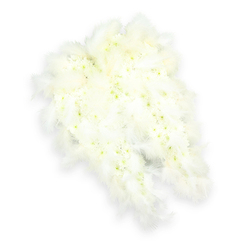 A pair of angel wings, lovingly shaped from white flowers and feathers, appears almost weightless against a seamless white background. Each wing is composed of countless tiny white blooms, likely miniature chrysanthemums and spray carnations, placed so closely together that they form a plush, textured surface, similar to soft velvet or carefully groomed plumage. Many of these delicate flowers hold the faintest touch of pale green or lemon at their centres, introducing gentle tonal shifts that add depth without disturbing the serene, monochrome impression. Framing this floral heart, layers of soft white feathers have been arranged by local florists in Mill Hill to follow the natural sweep of a bird's wing, their fine strands overlapping in soft, flowing lines. The feather edges are slightly wispy and irregular, creating a gentle, cloud-like silhouette that feels both sheltering and light. A subtle drop shadow beneath the arrangement gives a sense of lift and three-dimensionality, as if the wings hover just above the surface. The atmosphere is calm and introspective, akin to stepping off busy Mill Hill Broadway into a hushed chapel or funeral hall nearby. This angel-wing tribute is the kind of arrangement families in Mill Hill often choose when they wish to express love, protection, and a peaceful farewell. The pure white palette speaks of innocence, spiritual purity, and eternal rest, while the feathered outline suggests a guardian presence watching over the departed. Designed for display at funerals, memorials, or cremation services, it offers a visually soothing focal point that gently supports moments of remembrance and heartfelt reflection.