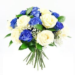 Captured against a clean white background, this hand-tied bouquet of blue and cream roses has the quiet poise of a floral tribute prepared with care in a Mill Hill flower studio. The design is deliberately rounded and even, with the rose heads arranged so closely that they form a dense, dome-like crown of petals. The blue roses, a rich sapphire tone, stand out immediately, their velvety petals twisting inward like layers of soft fabric, some blooms fully open to reveal their spiralling hearts, others half-closed in gentle curves. Interspersed are cream roses in shades of ivory and pale vanilla, their lighter petals catching the light and softly reflecting it, giving the arrangement a glowing, almost candlelit quality. Between these larger blooms, tiny white stars of baby's breath appear in airy clusters, adding texture and an ethereal lightness that balances the intensity of the blue roses. Dark, glossy greenery frames the arrangement from beneath, the leaves smooth and structured, grounding the bouquet and suggesting cool, fresh foliage like that found in the quieter corners of Mill Hill's leafy streets. Beneath the main floral mass, the stems are shown gathered in a neat bundle, all facing the same direction, hinting at the skilled hands that tied them, perhaps moments before delivery along Watford Way or up towards Mill Hill Broadway. The bright, even lighting reveals the subtle veining in each petal and leaf, enhancing the sense of freshness and care. This bouquet conveys a message of respect and remembrance, ideal for sending condolences, marking a memorial, or bringing a calm, reflective beauty into a home when comforting someone in Mill Hill.