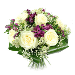 This image presents a beautifully composed bouquet set against a pure white backdrop, every element of the design clearly visible and thoughtfully arranged. Dominating the centre are large creamy white roses, fully open and luxuriously petalled, their spirals forming soft, rounded rosettes that radiate quiet grace and a sense of peace. Nestled between them, deep purple and magenta alstroemeria add a rich burst of colour; their slender, trumpet-like petals and fine markings help to draw the eye around the bouquet, creating movement and visual interest. Delicate sprays of white gypsophila are woven throughout, forming a misty, cloud-like layer that softens the bolder flowers and brings a romantic, almost ethereal touch. Here and there, green-white astrantia emerge, their distinctive star-shaped bracts and clustered centres introducing a subtle, natural texture reminiscent of the wildflower borders and open greenery found in and around Mill Hill's parks and pathways. The arrangement is cradled by broad, glossy aspidistra leaves, folded and wrapped neatly around the base to create a smooth, sculptural collar that enhances the bouquet's rounded, compact silhouette. The stems beneath are cut cleanly and gathered tightly, showing this as a classic hand-tied design ready for same-day delivery across Mill Hill and the surrounding neighbourhoods. The combination of cream, purple, and fresh green tones, together with the refined structure, makes this bouquet suitable for many occasions, from offering condolences with quiet dignity to celebrating special milestones, or simply bringing a sense of calm beauty into a Mill Hill home or office.