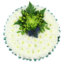 Viewed from directly above, this circular sympathy tribute resembles a soft, snowy cushion of petals placed on a pure white background, its round form perfectly defined. The entire surface is covered in hundreds of small white chrysanthemums, likely spray or cushion types, which have been arranged closely together so that only their delicate faces are visible. Each bloom is a tiny constellation of fine, overlapping petals encircling a pale green centre, creating a uniform yet subtly textured landscape that feels peaceful and contemplative, like a quiet moment overlooking the greenery around Mill Hill East. Encasing the flower base is a beautifully pleated emerald green satin ribbon, its gentle sheen and scalloped edging adding elegance and structure as it runs around the circumference of the cushion. At the upper centre sits a vivid cluster of greens and cool blues that forms the design's emotional heart. A lime-green spider chrysanthemum unfurls its long, filigree petals, surrounded by clusters of shiny Hypericum berries in bright apple green and an array of lush leaves and fern fronds that fan outwards, providing depth and contrast. Nestled within this verdant gathering are two spiky Scottish thistles in muted blue and purple tones, their distinctive rounded heads and bristling texture injecting a touch of tradition and strength. The tribute feels both modern and respectful, an arrangement that would be at home at a funeral service in Mill Hill or a memorial gathering near Mill Hill Broadway, where families seek a floral symbol of remembrance that speaks softly yet meaningfully of love and enduring connection.