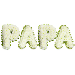 In this carefully composed memorial piece the name PAPA is spelled out in four broad, uppercase letters formed entirely from clusters of immaculate white chrysanthemums, their small tight heads creating a soft, pillowed texture that reads as both delicate and durable. The blooms are arranged with a skilled, steady hand so each letter keeps a gentle dome and a continuous field of petals; the subtle play of highlights and shadow across the flowers gives depth without fuss. A folded lime-green ribbon - or a slender band of fresh green foliage - traces the outer contour of each character, its slight ruffle providing definition and a quiet liveliness against the solemn white. Set against a stark white backdrop, the arrangement feels both intimate and formally appropriate for services honouring a father figure, from a chapel in Mill Hill to a family gathering at Mill Hill Park. The scent is faintly floral and clean, like freshly opened chrysanthemums, and the tactile sense is of softness under careful construction. Practical florist techniques are visible in the neatness of the lines and the stability of the letters, suggesting foam mounting and precise wiring. As Flowers Mill Hill we would offer such a tribute for local funerals and memorials, mindful of timing and placement so the piece becomes a gentle focal point for remembrance and a tangible expression of love and loss.