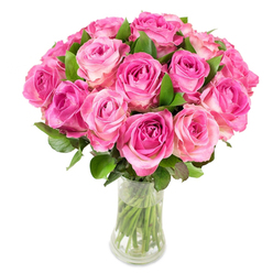 A vivid, abundant bouquet of about two dozen garden roses is artfully clustered into a full, domed display and sits in a clear, slightly curving glass vase against a crisp white backdrop. The colour story is quietly dramatic: centers of each rose show richer magenta and fuchsia tones that ease into delicate blush pink and sometimes a creamy off-white on the outermost petals, producing a soft gradient that reads like watercolor. The blooms are tightly packed so that their velvety petals create a continuous surface of layered texture; dark green foliage emerges beneath and between the roses, offering contrast and structural depth. From the side, the transparent vase reveals trimmed stems suspended in clean water, an honest detail that signals freshness and careful floristry. The lighting is even and bright, accentuating petal folds and the spiral geometry of each bloom while suggesting a subtle, sweet rose fragrance drifting up - an aroma you might notice while shopping at Mill Hill Broadway or pausing outside a cafe in Mill Hill Village. As an experienced local florist, I picture this piece on a pared-back kitchen island or as a centrepiece for an intimate anniversary dinner; it reads romantic and reassuring at once. Flowers Mill Hill prepares arrangements like this for customers across NW7 and nearby streets, and the design's timeless appeal makes it particularly suited to celebrations, thoughtful gifts for Mother's Day, or simply as a luminous gesture of affection.