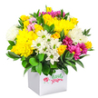 Set against a pure white background, a compact yet generous bouquet of yellow, white, and fuchsia blooms rises from a sleek white square box, giving the composition a bright, contemporary feel. The surface of the arrangement forms a rounded mound of petals, dominated by glowing yellow chrysanthemums whose many-layered petals create a soft, plush texture. Clustered around them, yellow spray roses at different stages of opening add variety and charm, their small buds and half-open flowers suggesting a sense of unfolding joy. White chrysanthemums and daisy-like flowers with crisp green centres are interspersed throughout, punctuating the warmth of the yellow with cooler, more tranquil tones, like calm pauses in a cheerful conversation. Vivid fuchsia and magenta chrysanthemums appear in clusters and small groups, some with gentle pink shading at the petal edges, bringing energy and contrast without overwhelming the design. A ring of deep green, shiny leaves cradles the base and peeks through between the blooms, echoing the greenery found in the residential gardens and open spaces around Mill Hill. The white cube-shaped box is smooth and simple, letting the flowers speak for themselves while still looking stylish on a dining table, office reception, or bedside cabinet in NW7. The photograph's bright, even lighting makes the colours appear crisp and true, with shadows kept soft so every detail remains visible. This bouquet feels perfect for a birthday surprise, a get-well gesture, or a thoughtful thank-you delivered around Mill Hill Broadway, bringing a burst of colour and gentle optimism into everyday life.