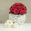 A lush arrangement of red roses sits at the centre of this scene, as if ready to grace a wedding table in a Mill Hill townhouse. The bouquet forms a low, rounded dome, built from tightly clustered roses whose petals are a deep, consistent crimson. Some blooms are just beginning to relax from bud to blossom, while others are already open enough to reveal their layered, swirling hearts, each petal softly curling away from the centre. Throughout the roses, small red hypericum berries peek out, their glossy, bead-like surfaces catching the light and introducing delicate points of contrast. Encircling the base is a trim band of dark green leaves, their rich colour and tidy arrangement grounding the bouquet and making the reds appear even more vivid. This crown of flowers and foliage rises from a striking white vase, crafted from intertwining, branch-like strands that criss-cross to form a light, basket-like lattice. The container has an airy, modern feel that pairs well with the clean lines of many Mill Hill interiors, from homes near Mill Hill Broadway Station to quieter streets by Mill Hill Park. Resting on the pristine white surface in front of the vase are two decorative balls of differing sizes, spun from narrow, cream wooden strips into open, geometric spheres that echo the pattern of the vase. Behind the arrangement, a warm beige backdrop with a subtle linen-style texture gently recedes, ensuring the roses remain the focal point. The image conveys quiet luxury and heartfelt affection, ideal for illustrating a wedding flower collection or romantic same-day delivery across NW7.