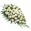 A refined white funeral spray is laid out on a seamless white background, positioned on a soft diagonal that lets its teardrop outline appear both elegant and calm. At the upper left, the spray begins in a rich, rounded mound of blooms where white and creamy ivory roses are tightly grouped, creating a sense of quiet fullness. Each rose shows a different stage of opening, from rounded buds to fully unfurled blossoms with perfectly layered, spiralling petals. Tucked between them, clusters of white carnations with delicately ruffled edges lend a textured, almost downy softness, gently breaking up the smoother rose surfaces. The flowers emerge from a bed of foliage, including broad, deep green leaves that frame the composition and provide contrast for the pristine petals. Against this backdrop, soft, silvery-green eucalyptus leaves add a cooler, misty tone, while slender strands of trailing greenery, likely ruscus or similar foliage, flow downward and outward from the narrower end toward the lower right. These long, arcing stems emphasise the spray's length and give it a graceful, flowing movement, as if bowing in a gesture of respect. The evenly lit background ensures there are no distractions from the tranquillity of the design. This arrangement would feel at home on a casket at a Mill Hill funeral service, in a chapel off Lawrence Street or at a gathering near the tree-lined paths of Mill Hill's green spaces. With its pure white blooms and thoughtful structure, the spray captures the essence of peaceful remembrance and heartfelt condolence, offering a gentle visual comfort to those saying goodbye.