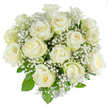 A serene, hand-gathered bouquet of about fifteen to twenty creamy white roses, captured against a clean white backdrop in soft, high-key studio light. The roses are arranged in a classic rounded dome, each bloom at a slightly different stage from tightly furled buds to gently opened flowers, their velvety petals unfurling with a whisper of pale cream and a barely-there green on some outer guard petals that signals fresh-cut life. Interwoven throughout are clouds of tiny white gypsophila - baby's breath - whose star-like florets float between the larger heads like winter mist, lending an airy, weightless texture and a delicate, snow-dusted feeling. Deep green rose foliage peeks through and frames the composition, its glossy leaves providing a vivid contrast that makes the white petals read as luminous and pure. The overall effect is quiet and uplifting: a bouquet that reads as both celebratory and comforting, suited to weddings, anniversaries, or a sympathetic gesture. The photograph's minimal white background and crisp lighting emphasize the bouquet's silhouette and symmetry, inviting the viewer to imagine the soft, powdery scent rising from the stems. As a local Mill Hill floral design, this arrangement conjures the calm charm of nearby Mill Hill Village and the simple grace you might remark on while strolling The Ridgeway or Mill Hill Park. Tactile details remain clear even without sight: the satiny petal edges, the feathered clusters of gypsophila, and the firm, freshly trimmed stems gathered into a balanced, approachable form that promises freshness and considered craftsmanship.