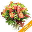 A hand-tied autumn bouquet photographed against a crisp white background, alive with warm peach, coral and russet roses that open like painted cupped bowls at the centre. Around these large-headed blooms are sprays of bright orange and golden-yellow freesia whose slender stems and delicate buds lend lightness and a sweet, peppery floral note you can almost imagine. Dark glossy leaves and softer chartreuse sprigs form a deep green foundation, while clusters of lime-green hypericum berries and tight, bright-green Santini-style florets thread through the composition for contrast and texture. Scattered among the flowers are a few deep reddish-brown oak leaves with unmistakable lobed silhouettes, anchoring the arrangement in autumnal feeling. The stems are neatly trimmed and gathered, tied with natural jute-style twine to suggest a rustic hand-finished bouquet ready for a vase. Gentle studio light picks out the velvety rose petals and the matte sheen of the burnished foliage, creating soft shadows that emphasize each fold and edge. An angled orange banner overlays the bottom right corner of the image, clearly stating FREE CHOCOLATE in white type; it sits on top of the photo as a promotional graphic rather than part of the flowers. This composition evokes cosy evenings and seasonal tables, suitable for Thanksgiving, an autumn birthday, or as a thoughtful delivery across Mill Hill Village and nearby roads - a bouquet that brings the warmth of the season indoors with tactile richness and a quietly generous spirit.