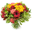A lush, hand-tied bouquet bursts with the warm, layered colours of autumn, set against a clean white background so every petal and leaf reads clearly. At the heart of the arrangement sit deep crimson and burgundy blooms - rich red roses with velvety, layered petals and classic deep-red Gerbera daisies whose broad petals fan outward from darker centers - creating confident focal points. Scattered generously among them are sunny clusters of small yellow spray chrysanthemums that catch the eye with their cheerful, multi-petaled forms and add a bright, textured contrast. Coral-pink garden roses or similar soft blush blooms whisper between the stronger reds, their delicate curves softening the composition and lending a gentle warmth. Slender alstroemeria in shades of red and orange, some lightly speckled, bring a star-like, energetic shape that breaks up the round silhouette and draws attention to the bouquet's layered depth. The flowers are cushioned by a mix of glossy dark green leaves and lighter, almost variegated foliage that adds volume and tactile contrast; a few large, reddish-brown oak- or maple-like leaves are woven through to underline the seasonal, harvest-time mood. The stems are neatly gathered and visible at the base, a fresh bundle of green stalks that announces this as a classic hand-tied design. Under soft, natural light the petals seem to glow and you can almost imagine their mild sweet scent and papery textures. As a Mill Hill florist preparing seasonal arrangements near Mill Hill Broadway and The Ridgeway, I picture this bouquet on a Thanksgiving table or autumn mantel-comforting, celebratory and quietly elegant, perfect for bringing the colours of the season indoors.
