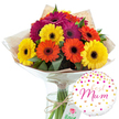 The photograph shows a vibrant gerbera daisy bouquet paired with a cheerful balloon, both set against a pure white background that highlights every colour and texture, as if prepared for delivery to a home near Mill Hill East. The bouquet is full and rounded, with about a dozen large gerbera blooms tightly arranged so that their daisy faces form a lively mosaic. Each flower is fully open, revealing smooth, slightly curved petals radiating from a dark central disk that gives depth and definition. The colour scheme is bright and uplifting: clear sunny yellows, warm oranges, and rich magenta or deep fuchsia hues, all intermingling in a way that feels joyful rather than overwhelming. Nestled among the bold flower heads are touches of dark green foliage, which provide a cool, natural frame and enhance the sense of freshness. The stems are gathered in a traditional hand-tied style and wrapped first in lightly crinkled, rustic brown kraft paper that adds warmth and a hint of countryside charm. Around this, a glossy, transparent cellophane layer is neatly folded, protecting the blooms and catching small reflections of light. A simple length of natural twine is knotted around the wrapping, reinforcing the crafted, personal feel. The bouquet stands upright in a tall, clear glass vase half-filled with water, where the straight green stems can be clearly seen, arranged with quiet care. To the bottom right, a round white foil balloon completes the scene, its surface dotted with metallic gold and pink confetti-like circles and tiny heart shapes that seem to dance around the centre. There, in graceful pink script, the words best Mum are written, turning this combination of bright gerberas and soft balloon into a tender, visually striking tribute for a much-loved mum in Mill Hill, suitable for Mother's Day or any special moment of thanks.
