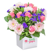 A vibrant bouquet radiating tones of pink and purple stands proudly in a sleek white square pot, embodying Mill Hill's lively, welcoming character. Luxurious pink roses take centre stage, some barely opening, others fully blossomed, their scent faintly sweet like gardens off Bittacy Hill. Soft pink gerbera daisies dot the arrangement, each bloom a little burst of happiness with bright creamy centers that smile towards the light. Deep purple statice slips through the flowers, adding drama and a textured wildflower feel, reminiscent of local meadows in summer. Lush green foliage completes the composition, accentuating the freshness of each petal and echoing the leafy avenues of NW7. The bright white container pays homage to the area's blend of modernity and tradition-perfect for gifting on a birthday, anniversary, or just to spread cheer in a friend's Mill Hill home. Every detail of this floral display reflects the care and artistry of your neighbourhood florist, delivering moments of genuine joy and natural beauty with every arrangement.