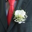 A sharply focused close-up of a groom's upper torso shows a dark charcoal suit jacket in Mill Hill, the fabric smooth and expertly tailored, catching soft indoor light. At the centre of the image sits a single white orchid boutonniere, pinned neatly to the left lapel. The orchid, most likely a Phalaenopsis, opens its broad, velvety petals in a gentle curve, the creamy white surface almost luminous against the deep suit cloth. At its heart, a soft yellow-cream throat with a hint of blush detail provides a subtle warmth, as if glowing quietly. Surrounding the orchid, delicate clouds of tiny white baby's breath cluster together, their many tiny blossoms adding a light, airy texture, like a fine mist drawn across the lapel. Slender arcs of fresh, grass-like greenery rise and weave through the design, a vivid green that brings energy and balance to the white flowers. The stems are carefully bound with a narrow sheer white ribbon, tied into a small, graceful bow that suggests the care of an experienced florist. Behind the boutonniere, a crisp light dress shirt with a subtle pattern peeks out, while a lustrous red silk tie runs diagonally through the frame, its bold sheen contrasting with the refined flowers. The image captures the poised stillness of a wedding morning in Mill Hill, perhaps just before a ceremony at a local church or a reception near Mill Hill Park, where the wearer stands ready, the floral detail close to his heart and the promise of the day still ahead.