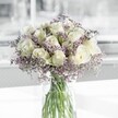 A serene bouquet of creamy white roses and lilac-tinted limonium rests in a simple cylindrical glass vase, captured in soft, natural daylight as if placed near a bright window in a Mill Hill home. The roses sit at the heart of the arrangement, each bloom unfolding in a perfect spiral of velvety petals that glow gently, their ivory tones drifting toward pale cream at the outer edges. Around them, the limonium creates a misty halo of tiny lavender blossoms, adding a gauzy lightness and a sense of calming movement, like a faint haze rising over nearby Mill Hill Park on a still morning. Slender green stems are visible through the clear water, their straight lines anchoring the composition and reinforcing its clean, modern feel. The overall effect is tranquil and contemplative, a blend of purity, softness, and quiet grace. As an experienced local florist, I can almost sense the subtle fragrance-delicate rose notes mingling with a faint herbal whisper from the limonium, reminiscent of early walks along The Ridgeway when the air is cool and clear. The bouquet's balanced palette of white, soft lavender, and fresh green makes it ideal for sending condolences, marking a thoughtful milestone, or offering a moment of peace in a busy Mill Hill office or living room. It feels both timeless and contemporary, the sort of design often requested for understated sympathy flowers or for families gathering in calm reflection. This image conveys not just flowers in a vase, but an atmosphere of gentle comfort and stillness, like a quiet pause in the middle of the day.