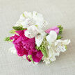 A refined, romantic bouquet rests on a light, linen-like fabric, the setting simple enough to let the flowers take centre stage, much as they might on a dining table in a Mill Hill home overlooking Lawrence Street. Bold peonies in intense fuchsia and raspberry pink occupy the middle of the arrangement, their full, cup-shaped blooms brimming with layer upon layer of softly pleated petals. Surrounding them like a halo, white alstroemeria bring in a sense of calm clarity; each petal is gently arched and traced with narrow maroon lines, giving the flowers a slightly formal, elegant character. Between these main blooms, young green buds and sprigs of foliage emerge at different angles, their crisp texture and bright colour suggesting freshness, renewal, and celebrations just beginning. The florist has drawn the stems together into a compact, domed shape and secured them with a pale pink satin ribbon, wrapped smoothly and firmly so the bouquet feels both secure and delicate in the hand. Soft natural light appears to wash across the flowers, making the whites almost luminous and deepening the shadows between the peony petals, which adds depth and a sense of intimacy. The imagined scent is gentle but joyful - a blend of sweet floral tones and leafy green notes, like a walk through a private garden near Mill Hill Village after a spring shower. This bouquet feels perfectly suited for bridesmaids at a local wedding, an anniversary surprise delivered across NW7, or a grateful gesture to a friend on a quiet residential street, speaking warmly of joy, appreciation, and the beauty of shared moments.