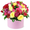From the heart of Mill Hill's floristry, this lush bouquet explodes in color as roses-crimson red, sunlit yellow, vibrant fuchsia, soft pink, magenta, lavender, and creamy white-fill a round, pale pink hat box that feels like a gift in itself. The blooms are densely packed, forming a generous dome, with dark green leaves glinting between petals and lending a garden-fresh contrast to the candy-bright palette. The box's smooth matte finish echoes modern elegance, making the arrangement both a visual feast and a tactile delight.
Soft morning light catches the satin-matte surface and highlights the velvety texture of the petals. The largest heads unfurl with confident grace, while spray roses and smaller buds provide rhythm and depth, like a chorus of colors performing in a quiet room. The scent would be a warm, rose-scented whisper that hints at celebration and romance, a fragrance that lingers just long enough to say someone is loved.
For Mill Hill recipients, this piece speaks of birthdays, anniversaries, and moments when we want to mark joy with luxury. Set against a clean white backdrop, it lets every shade glow with clarity and clean lines that a contemporary home understands. It's available for same-day delivery across Mill Hill and the surrounding NW London neighborhoods, carried with care by Flowers Mill Hill to doors along Mill Hill Broadway, Hendon, Finchley, and beyond. Moreover, it is a versatile gift for Mother's Day, anniversaries, or a big celebration, handled with the care that Mill Hill customers expect from a local florist.
