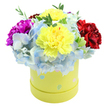 A vibrant, cheerful bouquet spills from a round pastel-yellow hatbox, photographed against a clean white backdrop so every petal reads clearly. At the heart of the composition two large, ruffled lemon-yellow carnations gather light on their frilled edges, their warm colour almost luminous against clusters of soft periwinkle hydrangea that form a cloud-like base beneath them. The hydrangea florets show gentle gradations of pale blue to near-white, lending a cool, airy counterpoint to the sunlit carnations. To the left a bold magenta carnation pushes slightly forward, its deeply creped petals offering a satin contrast, while on the right a velvety deep crimson bloom balances the arrangement with rich, warm depth. Slim sprigs of fresh green foliage peek through and around the blooms, adding a crisp botanical structure and a scent suggestion of green, leafy freshness. The hatbox itself is a soft lime-yellow cylinder, playfully scattered with tiny pastel polka dots in powder blue, blush pink and mint green, some speckled with white - a detail that gives the gift box an Easter-morning, celebratory feel. Soft, diffused daylight seems to kiss the petals, enhancing texture and shadow without harsh glare, so you can almost sense the frilled edges and velvety folds under your fingertips. This composition reads as a compact, premium floral gift - the kind we might deliver across Mill Hill Village or to a neighbour on The Broadway to brighten a birthday, new baby, or a get-well day. It radiates optimism, careful craft, and the kind of fresh-picked cheer meant to lift someone's spirits the moment they open it.