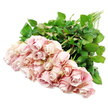 A softly opulent bouquet of roughly two dozen blush pink roses is arranged in a loose diagonal across a flawless white surface, as if ready to be lifted into a vase or carried to a memorial gathering. The roses cluster together at one side, forming a generous pool of pastel colour, while their long, straight green stems reach out behind them in a neat line. Each bloom exhibits a soothing gradient of pink, starting with nearly ivory outer petals and deepening into dusty rose and delicate lavender hints within the tightly coiled centres. Some roses are still mostly closed, their petals hugging close in firm spirals, whereas others open more freely, showing off layered, velvety petals that look soft and tender. The bright, balanced lighting reveals fine details in the petal edges, from gentle waves to slight ruffles, and throws minimal shadow, enhancing the bouquet's fresh, clean appearance. A surrounding halo of dark green leaves and visible stems anchors the image, their glossy surfaces and strong lines contrasting with the ethereal quality of the roses. The simple white background removes any distraction, allowing the gentle harmony of pink and green to carry the emotional tone. This arrangement feels particularly appropriate for sympathy and condolence, the kind of bouquet Flowers Mill Hill might prepare for same-day delivery to a quiet street near Mill Hill East or overlooking local green spaces. It speaks of understated kindness and support, offering a visual message of love, remembrance, and serenity when comforting someone through loss.