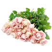 A bountiful collection of soft pink roses lies artfully fanned out across a clean white backdrop, as though a Mill Hill florist has just arranged them and stepped back to take in their quiet beauty. Around two dozen roses are nestled together, their blooms forming a gentle wave of colour that shifts from muted dusty rose in the centres to airy champagne and creamy blush along the petal edges. In places, the deeper folds hold a whisper of lavender tone, adding subtle depth and a sense of cool serenity. Some roses remain partly closed, suggesting newness and restraint, while others are more open, showcasing the elegant spiral at their heart that signals quality and care. The petals appear velvety and tender in the balanced light, without harsh shadows, giving the whole bouquet a soft, almost weightless feel. Deep green leaves and sturdy stems frame and support the pastel blooms, their rich tones peeking out beneath the roses and forming a natural contrast that emphasises freshness and vitality. The overall composition is simple yet emotive: no vase, no ribbon, only roses resting quietly in readiness. It feels like a tribute in the making, perhaps soon to be tied into a hand-tied sympathy bouquet for delivery around Mill Hill Broadway or to the calm avenues near Page Street. This image captures that contemplative pause before flowers begin their journey-a moment when the care of the florist, the beauty of the roses, and the needs of the Mill Hill community gently come together in a gesture of comfort and remembrance.