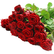 A richly gathered collection of red roses flows horizontally across a bright white background, as if carefully set down by a Mill Hill florist moments before being transformed into a hand-tied bouquet. Around two dozen or more long-stemmed roses form a continuous line of blooms, their heads pressed close together in a lush wave of crimson that moves the eye from left to right. Each rose displays deep, velvety petals that curl and spiral gracefully from the centre, some flowers fully open to reveal their intricately layered cores, others still partially closed, holding a sense of quiet intimacy. The stems and foliage extend mainly to the upper right, where dark green leaves cluster in a cool, calming contrast to the warm red blooms. Smaller leaves peek through here and there between the flowers, softening the edges of the arrangement and lending it a natural, unforced charm reminiscent of the greenery around Mill Hill Park or the paths stretching towards Arrandene Open Space. The lighting is crisp and even, washing the white backdrop with clarity and allowing every texture to be felt in the mind's eye-the plushness of each petal, the firmness of the stems, the subtle sheen on the leaves. No decorative accessories compete for attention; the image is purely about the roses and their emotional resonance. It feels like the moment before a grand romantic gesture, whether destined for a dinner table in NW7, a doorstep surprise off the Ridgeway, or a quiet, meaningful apology. The arrangement speaks of deep affection, devotion, and the timeless language of red roses in Mill Hill, captured at their freshest and most expressive.