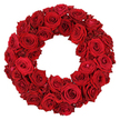 From the workshop of Flowers Mill Hill, this lush wreath of deep crimson roses is a striking study in circular floral design, and a powerful image for any Mill Hill feature on seasonal decor or memorial floristry. The composition is entirely built from dozens of red blooms, densely packed into a perfect ring set against a pure white background, with no greenery visible to interrupt the velvet surface. Large, fully opened roses anchor the circumference, their velvety petals spiraling toward jewel-like centers, while smaller, partially opened heads and a scattering of tiny buds fill gaps and create gentle depth. The result is a texture that reads as plush and tactile, a continuous crimson ribbon that invites the eye to travel along its curve. Light from the surrounding space highlights the satin sheen of the petals and casts subtle shadows that emphasise the wreath's thickness and artistry. This arrangement communicates a range of moods-from passionate romance to solemn remembrance-depending on the context in which it is described, and it is a versatile choice for features about wedding decor, funeral tributes, or ceremonial displays. In Mill Hill, it can be delivered across the NW7 postcodes, providing a reliable, locally crafted option for editors, photographers, and event planners seeking a visually rich, emotionally resonant symbol of love and memory. The design demonstrates the care of a skilled florist, the precision of petal placement, and the enduring appeal of red roses as a gesture that transcends seasonality.