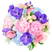 A richly detailed bouquet is captured against a pristine white background, its full, dome-shaped form composed of layered blooms that blend soft romance with refined drama. At the centre, large pastel pink peonies are fully open, revealing dense, ruffled petals that create a plush, cloud-like effect, evoking the gentle charm of an English garden translated into a polished Mill Hill design. Surrounding these focal blooms, rounded clusters of sky blue hydrangeas spread outward, their countless tiny petals forming pillowy mounds that cool the palette and give the arrangement a sense of airy, abundant calm. Interwoven among the pastels, vibrant fuchsia-purple Vanda orchids bring a striking, exotic accent; their velvety petals, marked with delicate speckles and subtle veining, catch the light and immediately draw the eye. Emerging gracefully from within the dome, coral pink calla lilies curve in sleek, trumpet-shaped lines, adding modern structure and a sense of movement that contrasts beautifully with the plushness of the peonies and hydrangeas. Between these larger elements, clusters of light pink and creamy white spray roses fill every gap, their smaller, spiralling blooms adding gentle texture and a touch of classic romanticism. Along the edges and peeking through the blossoms, silvery-green dusty miller with its velvety surface combines with deeper green foliage, creating a layered frame that grounds the vibrant colours. Bright, even lighting emphasises each petal and leaf, giving the bouquet a freshly arranged, ready-to-deliver look ideal for same-day floral delivery across Mill Hill, Totteridge, and nearby Barnet. The overall impression is one of celebration, elegance, and sincere emotion, making this bouquet perfect for weddings, milestone anniversaries, or any moment that deserves something truly memorable.