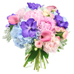 This hand-tied bouquet, photographed against a pristine white background, captures the feeling of a special occasion morning in Mill Hill-fresh, calm, and quietly joyful. At its core, lush light pink peonies are fully open, their many-layered, ruffled petals forming generous, pillow-like blooms that radiate softness and romance. Encircling them, powder blue hydrangeas create a low, cloud-like base, each tiny petal contributing to a smooth gradient of blue that cools the overall palette and enhances the delicacy of the pinks. Deep purple Vanda orchids are scattered thoughtfully throughout the arrangement, their large, velvety petals marked with distinctive speckles that add a sense of drama and luxury, like precious stones hidden among the softer flowers. Fuchsia pink calla lilies arc elegantly through the bouquet, their sleek, trumpet-shaped blooms adding both movement and a sharper, contemporary accent of colour. Between these standout blooms, blush pink spray roses appear in charming clusters, their smaller, tightly layered petals bringing intricate texture and a hint of nostalgic garden romance. The flowers are edged and interwoven with foliage: glossy dark green leaves offer bold contrast and structure, while the soft, silvery-green leaves of dusty miller lend a velvety, almost ethereal frame that gently softens the design. At the base, the stems are neatly gathered and tied, clearly visible and giving the bouquet a natural, hand-crafted finish. The overall impression is one of elegance and warmth, making this arrangement ideal for weddings, anniversaries, or thoughtful deliveries throughout Mill Hill-from family homes along the ridge to relaxed gatherings near Mill Hill Broadway.