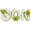 A horizontal, three-dimensional floral tribute spells the word SON in bold capital letters, each letter crafted from a thick, cloud-like bed of small white chrysanthemums whose soft, velvety petals create a plush, tactile surface. The chrysanthemums are tightly packed so the letters read clearly from a distance yet reveal delicate, individual blooms at close view. Dark green ivy tendrils are artfully woven through and around each letter, their glossy, five-lobed leaves and trailing stems giving a natural, evergreen contrast and a sense of gentle movement. Lush fern fronds and other pointed green leaves tuck into the curves and angles, adding texture and depth and a whisper of woodland freshness. To bring warmth and a hopeful accent to the sober palette, three bright yellow sunflowers with distinct dark brown centres punctuate the display: a prominent sunflower sits on the upper-left curve of the 'S', another nestles at the lower centre of the 'O' among the ferns, and a third bright bloom crowns the upper-right of the 'N'. The overall impression blends quiet reverence with a touch of sunlight - purity and peace from the white blooms, life and endurance from the greens, and affectionate warmth from the sunflowers. The composition is photographed against a crisp white background so the textures, shadows and rich contrasts are clear; you can almost sense the faint, clean scent of chrysanthemums and the earthy heart of the sunflowers. A carefully made memorial piece, it reads as both a personal farewell and a gentle celebration of memory, suitable for funeral or remembrance services in Mill Hill and surrounding neighbourhoods.